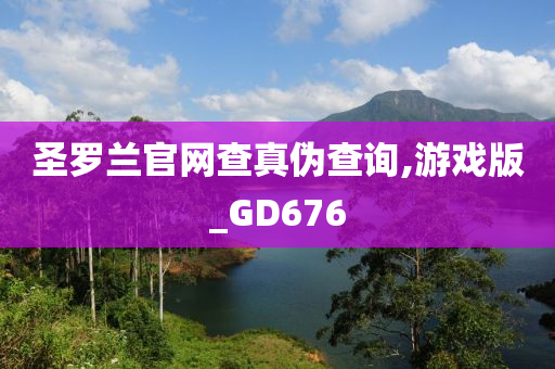 圣罗兰官网查真伪查询,游戏版_GD676