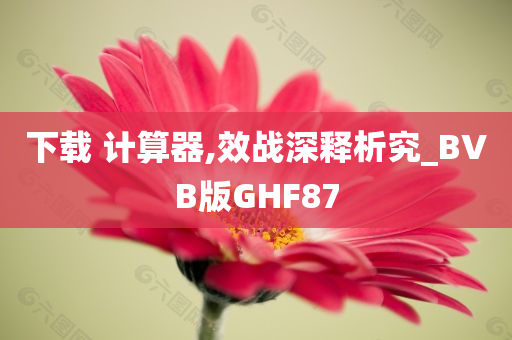 下载 计算器,效战深释析究_BVB版GHF87