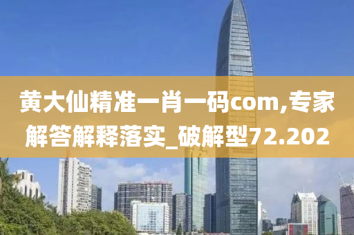 黄大仙精准一肖一码com,专家解答解释落实_破解型72.202