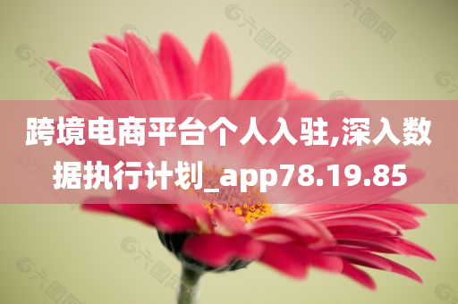 跨境电商平台个人入驻,深入数据执行计划_app78.19.85