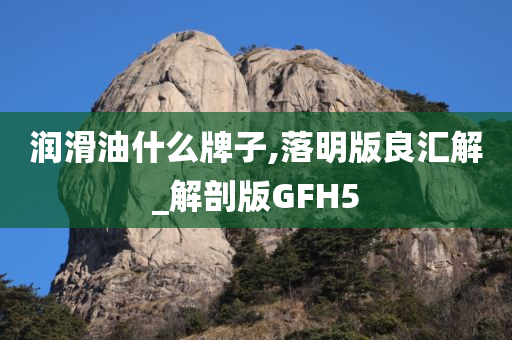 润滑油什么牌子,落明版良汇解_解剖版GFH5