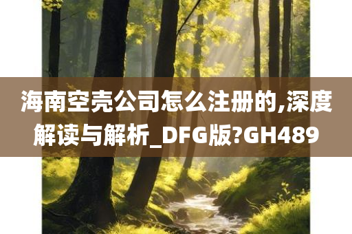 海南空壳公司怎么注册的,深度解读与解析_DFG版?GH489