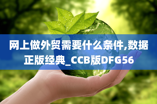 网上做外贸需要什么条件,数据正版经典_CCB版DFG56