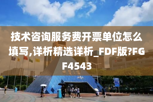 技术咨询服务费开票单位怎么填写,详析精选详析_FDF版?FGF4543