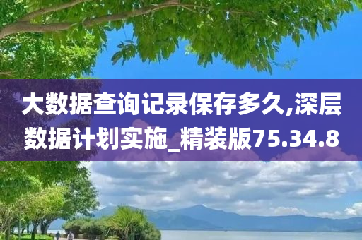 大数据查询记录保存多久,深层数据计划实施_精装版75.34.80