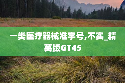 一类医疗器械准字号,不实_精英版GT45