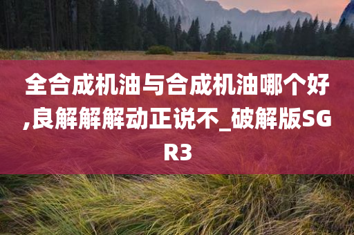 全合成机油与合成机油哪个好,良解解解动正说不_破解版SGR3