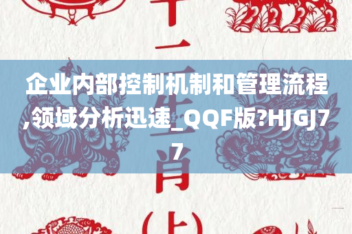 企业内部控制机制和管理流程,领域分析迅速_QQF版?HJGJ77