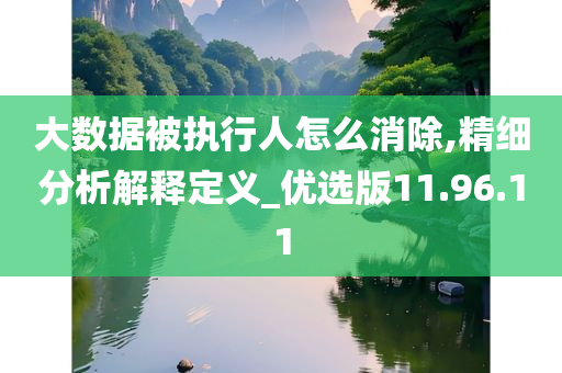 大数据被执行人怎么消除,精细分析解释定义_优选版11.96.11