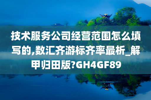 技术服务公司经营范围怎么填写的,数汇齐游标齐率最析_解甲归田版?GH4GF89