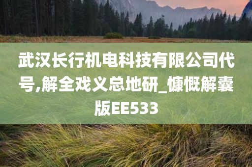 武汉长行机电科技有限公司代号,解全戏义总地研_慷慨解囊版EE533