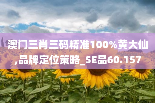 澳门三肖三码精准100%黄大仙,品牌定位策略_SE品60.157