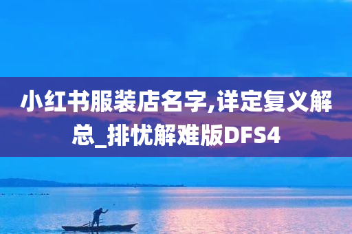 小红书服装店名字,详定复义解总_排忧解难版DFS4