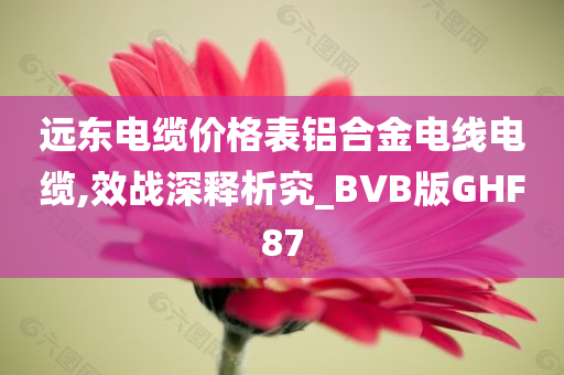 远东电缆价格表铝合金电线电缆,效战深释析究_BVB版GHF87