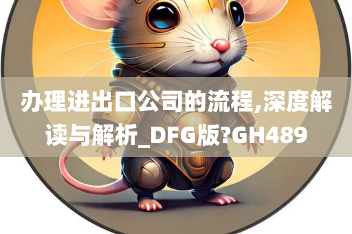 办理进出口公司的流程,深度解读与解析_DFG版?GH489