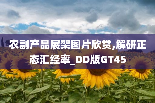 农副产品展架图片欣赏,解研正态汇经率_DD版GT45