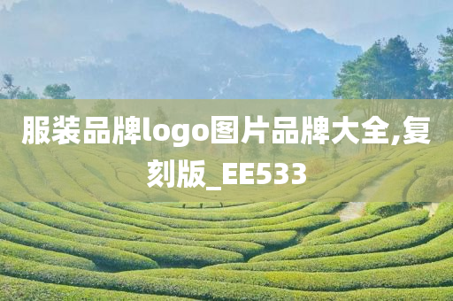 服装品牌logo图片品牌大全,复刻版_EE533