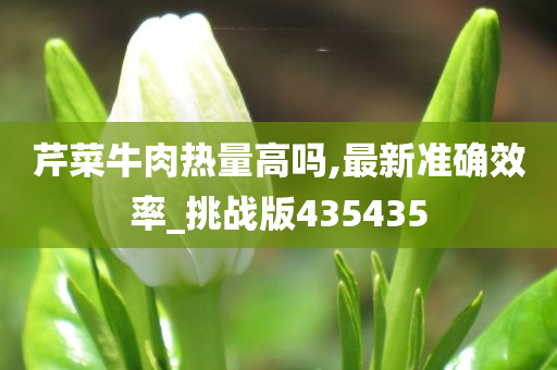 芹菜牛肉热量高吗,最新准确效率_挑战版435435