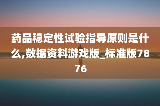 药品稳定性试验指导原则是什么,数据资料游戏版_标准版7876