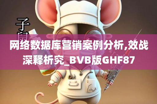 网络数据库营销案例分析,效战深释析究_BVB版GHF87