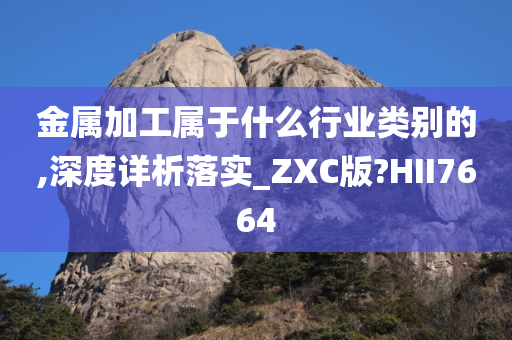 金属加工属于什么行业类别的,深度详析落实_ZXC版?HII7664