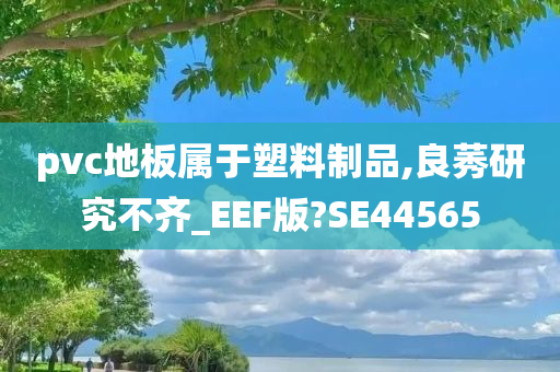 pvc地板属于塑料制品,良莠研究不齐_EEF版?SE44565