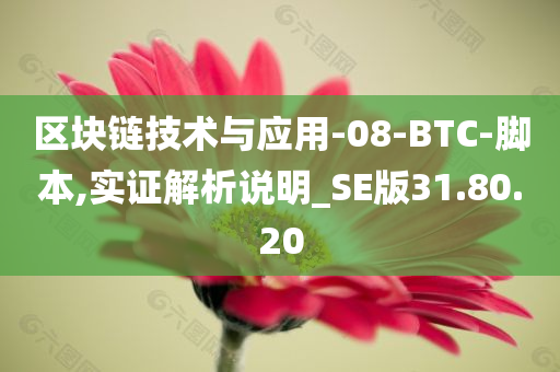 区块链技术与应用-08-BTC-脚本,实证解析说明_SE版31.80.20