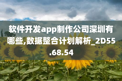 软件开发app制作公司深圳有哪些,数据整合计划解析_2D55.68.54