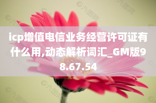 icp增值电信业务经营许可证有什么用,动态解析词汇_GM版98.67.54