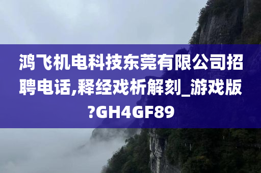 鸿飞机电科技东莞有限公司招聘电话,释经戏析解刻_游戏版?GH4GF89