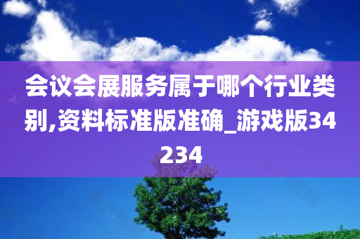 会议会展服务属于哪个行业类别,资料标准版准确_游戏版34234