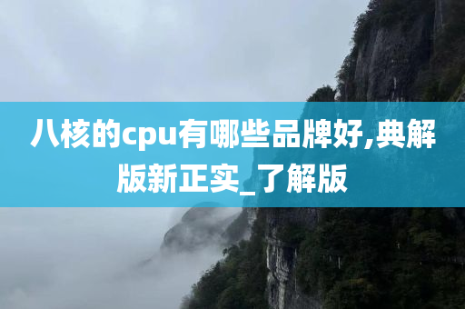 八核的cpu有哪些品牌好,典解版新正实_了解版