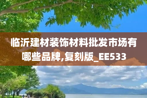 临沂建材装饰材料批发市场有哪些品牌,复刻版_EE533