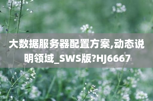 大数据服务器配置方案,动态说明领域_SWS版?HJ6667