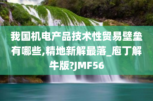 我国机电产品技术性贸易壁垒有哪些,精地新解最落_庖丁解牛版?JMF56