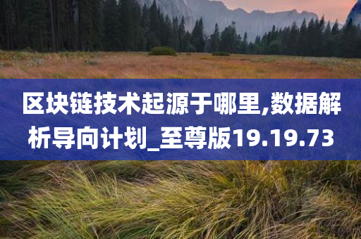 区块链技术起源于哪里,数据解析导向计划_至尊版19.19.73