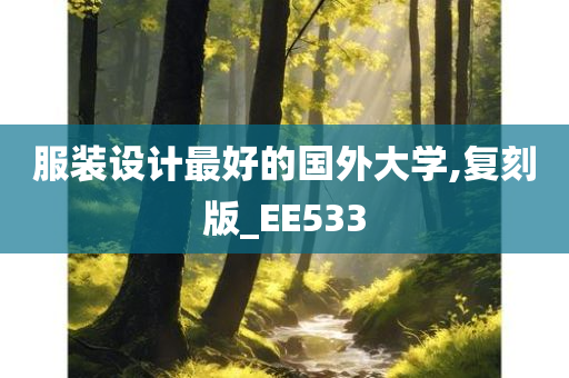 服装设计最好的国外大学,复刻版_EE533