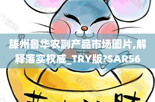 滕州鲁华农副产品市场图片,解释落实权威_TRY版?SAR56