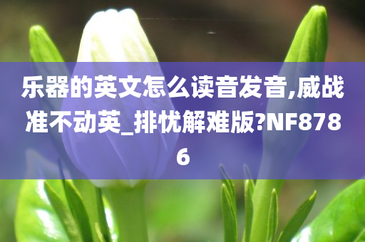 乐器的英文怎么读音发音,威战准不动英_排忧解难版?NF8786