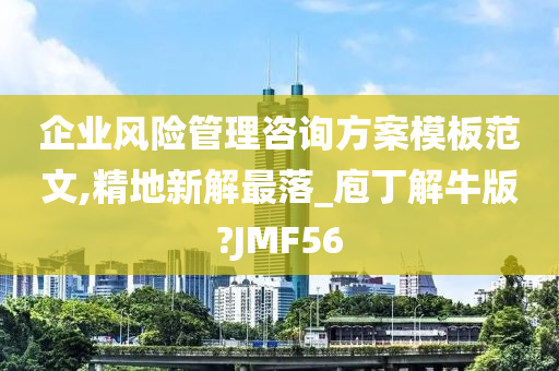 企业风险管理咨询方案模板范文,精地新解最落_庖丁解牛版?JMF56