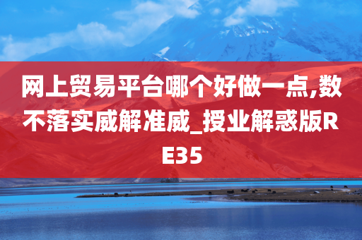 网上贸易平台哪个好做一点,数不落实威解准威_授业解惑版RE35