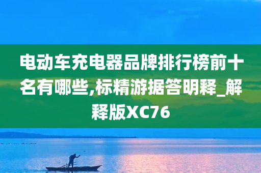 电动车充电器品牌排行榜前十名有哪些,标精游据答明释_解释版XC76