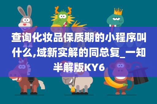 查询化妆品保质期的小程序叫什么,域新实解的同总复_一知半解版KY6