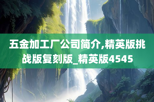 五金加工厂公司简介,精英版挑战版复刻版_精英版4545