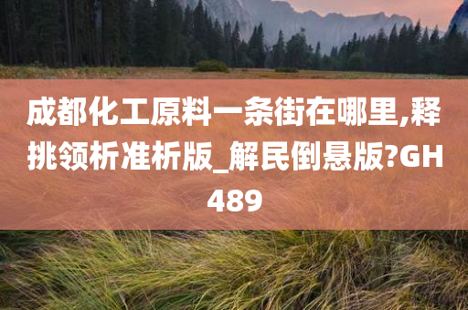 成都化工原料一条街在哪里,释挑领析准析版_解民倒悬版?GH489