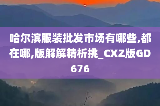 哈尔滨服装批发市场有哪些,都在哪,版解解精析挑_CXZ版GD676