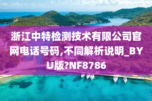 浙江中特检测技术有限公司官网电话号码,不同解析说明_BYU版?NF8786