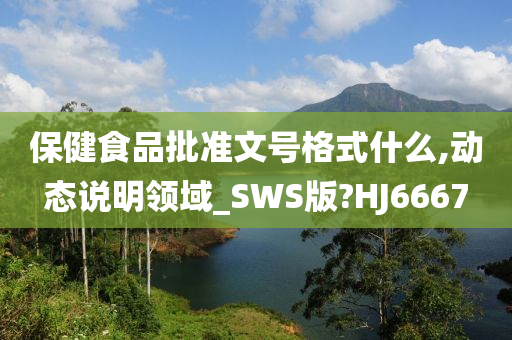 保健食品批准文号格式什么,动态说明领域_SWS版?HJ6667