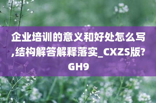 企业培训的意义和好处怎么写,结构解答解释落实_CXZS版?GH9