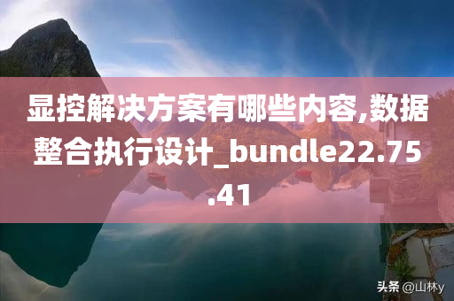 显控解决方案有哪些内容,数据整合执行设计_bundle22.75.41